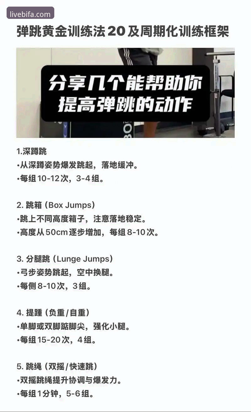 资深体育迷分享BIFA体育必备的使用心得与实战攻略